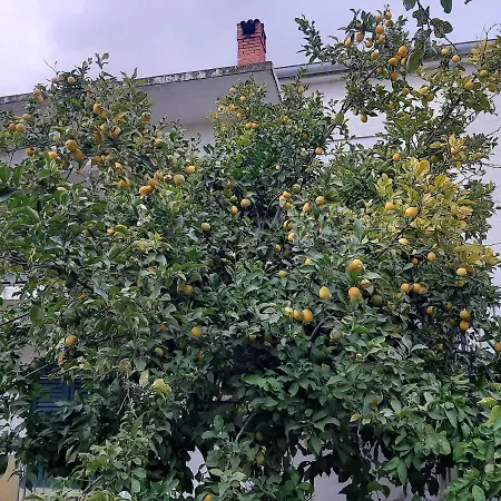 Apartmán Sarko *